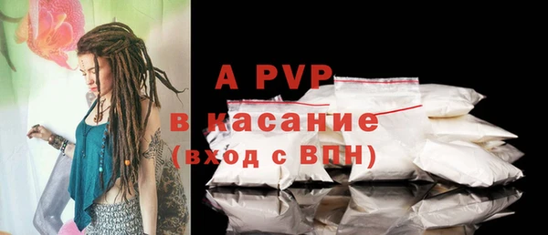 сатива Костерёво