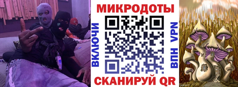 Псилоцибиновые грибы MAGIC MUSHROOMS  купить  цена  Владикавказ 